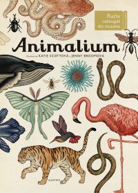 Animalium