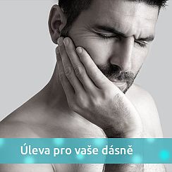 Chytrá Houba Chytrá Houba
