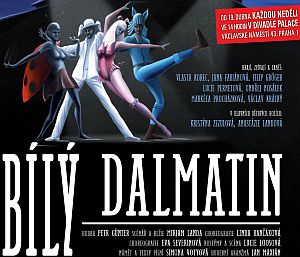 Soutez Bily Dalmatin Soutez Bily Dalmatin