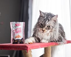 Brit Care Cat Snack