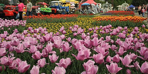 JARN� FLORA OLOMOUC 2012