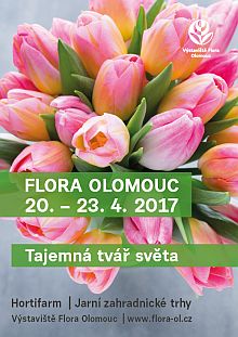 Flora Olomouc 2017