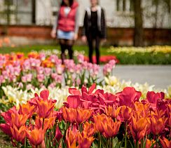 Flora Olomouc