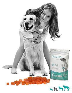 Geloren dog Geloren dog