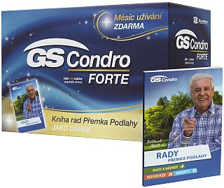 GS Condro FORTE
