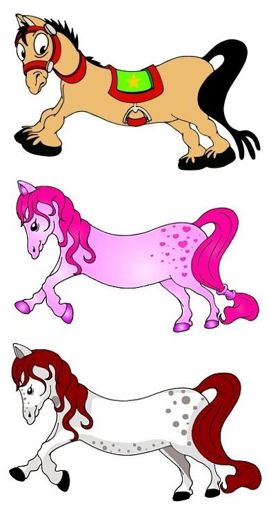 Anketa - vyberte kon�ka