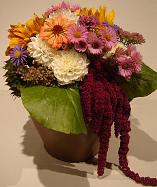 Letohr�dek Mitrovsk�ch