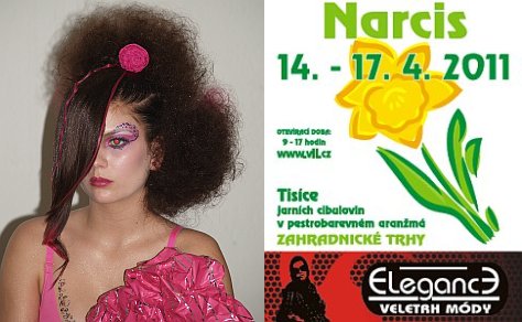 V�stava Narcis - Elegance
