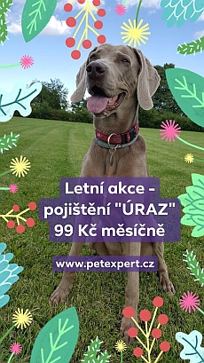 PetExpert PetExpert