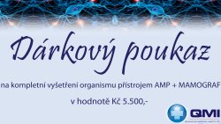 bezbolestn� vy�et�en� organismu a mamografem