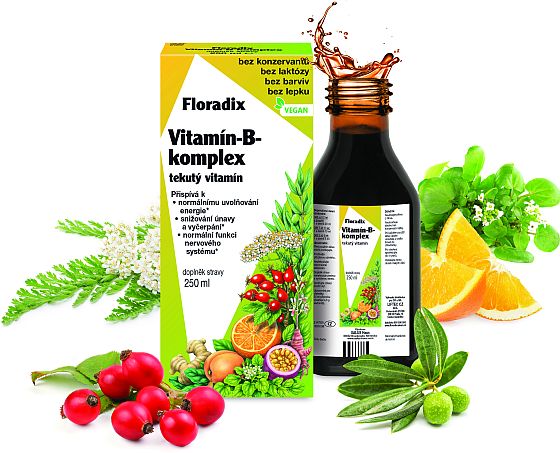 Salus Floradix Vitamn-B-Komplex