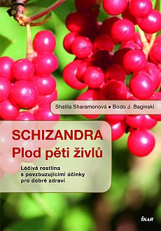 Schizandra