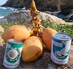 produkty z kokosu ze Sr Lanky