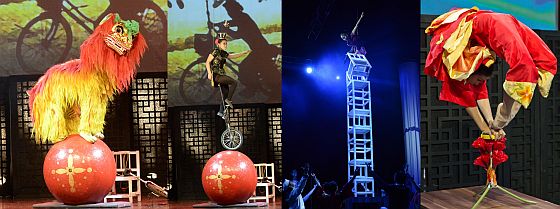 nsk nrodn cirkus
