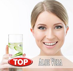 TOP Aloe Vera