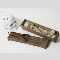 Sout� V�stava Brno