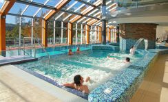 Wellness Hotel Horal - bazny