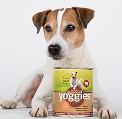 krmiva Yoggies