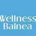 Wellness Balnea -  veletrh o zdravm ivotnm stylu, na podzim v Letanech