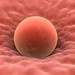 Umn othotnt: Nechte si zmonitorovat embrya