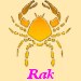 RAK - ron horoskop na rok 2012