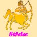 STELEC - ron horoskop na rok 2013