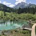 Zelenci  slovinsk prodn rezervace