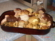fotka Kuec mamka s houbami na kari