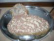 fotka Velikonon oechov dort
