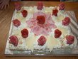 fotka Salmovo - srov dort