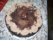 fotka Celookoldov dort