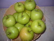 fotka Domc jablen pesndvka