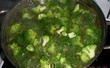 fotka Mln brokolicov polvka