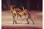 Nejnovj ledov show Holiday on Ice - Spirit