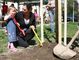 Herci z Divadla Na Jezerce zkrlovali park novmi stromky