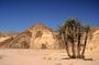 Egypt pro zamilovan - vydejte se na romantickou cestu