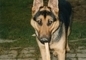 Bettyna