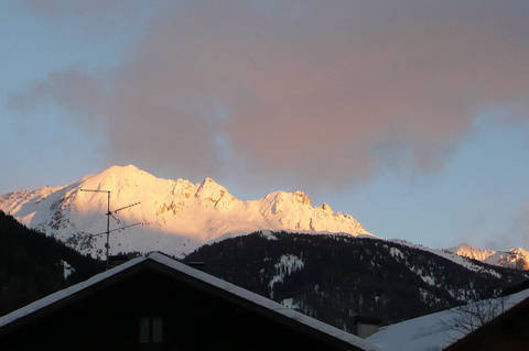 FOTKA - Bjen dovolen v italsk oblasti Vall di Fiemme