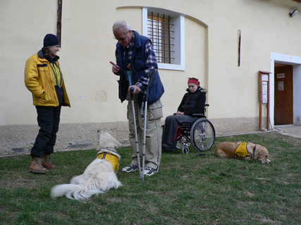 FOTKA - Zlat retriever Bra  dvojnsobn zachrnkyn lidskho ivota