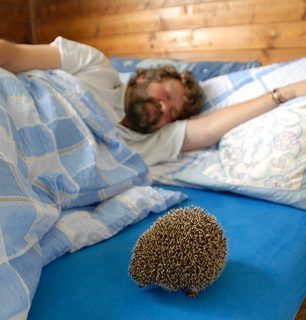 FOTKA - Podivuhodn cesta jeka Aladina  nov veernek Vclava Chaloupka