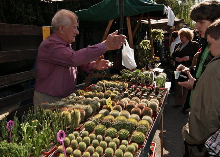 FOTKA - Duben v kvtinovm apit / Jarn etapa vstavy FLORA OLOMOUC 2009