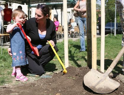 FOTKA - Herci z Divadla Na Jezerce zkrlovali park novmi stromky