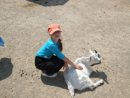 FOTKA - Zoo Park, DinoPark Vykov