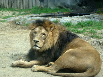 FOTKA - ZOO Svat Kopeek u Olomouce