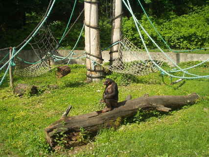 FOTKA - ZOO Ostrava