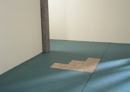 FOTKA - Samolepic podlahov dladice pro v tuln domov