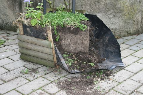 FOTKA - Krut incident v ZOO st nad Labem