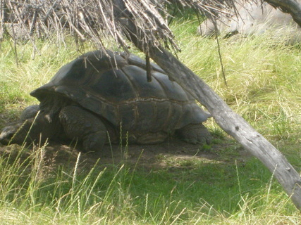 FOTKA - Nvtva zoologick zahrady