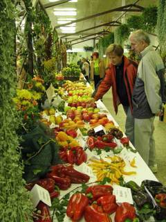 FOTKA - Podzimn Flora Olomouc s festivalem gastronomie Olima