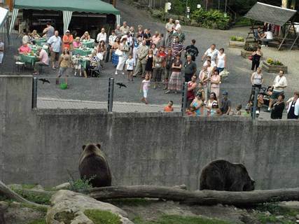 FOTKA - Dnsk zoo odstartovala oslavy 60. vro